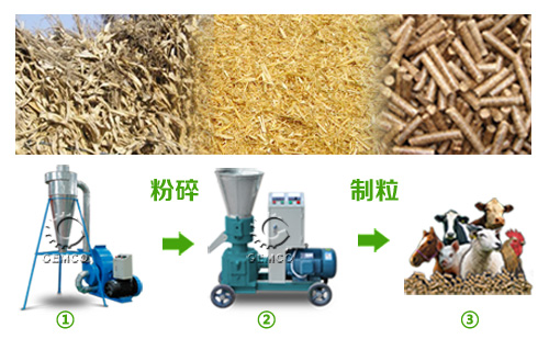 小型飼料造粒機(jī)結(jié)構(gòu)細(xì)節(jié)